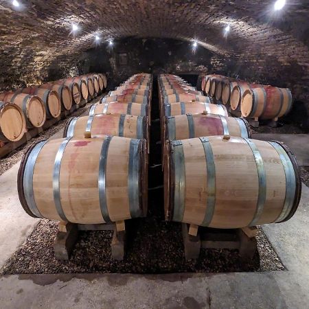Les Gites De Cour Remond Villers-la-Faye 外观 照片