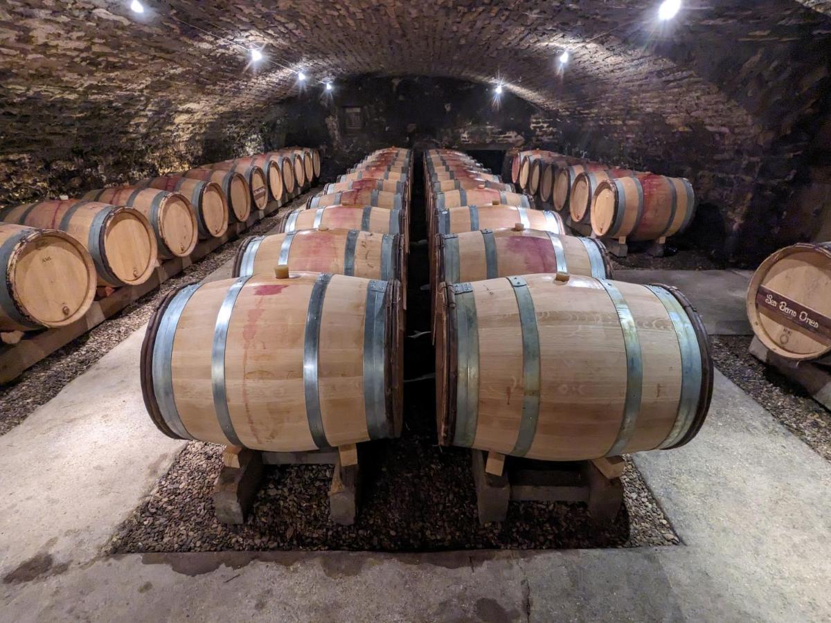 Les Gites De Cour Remond Villers-la-Faye 外观 照片